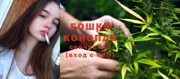 ГАЛЛЮЦИНОГЕННЫЕ ГРИБЫ Новокубанск